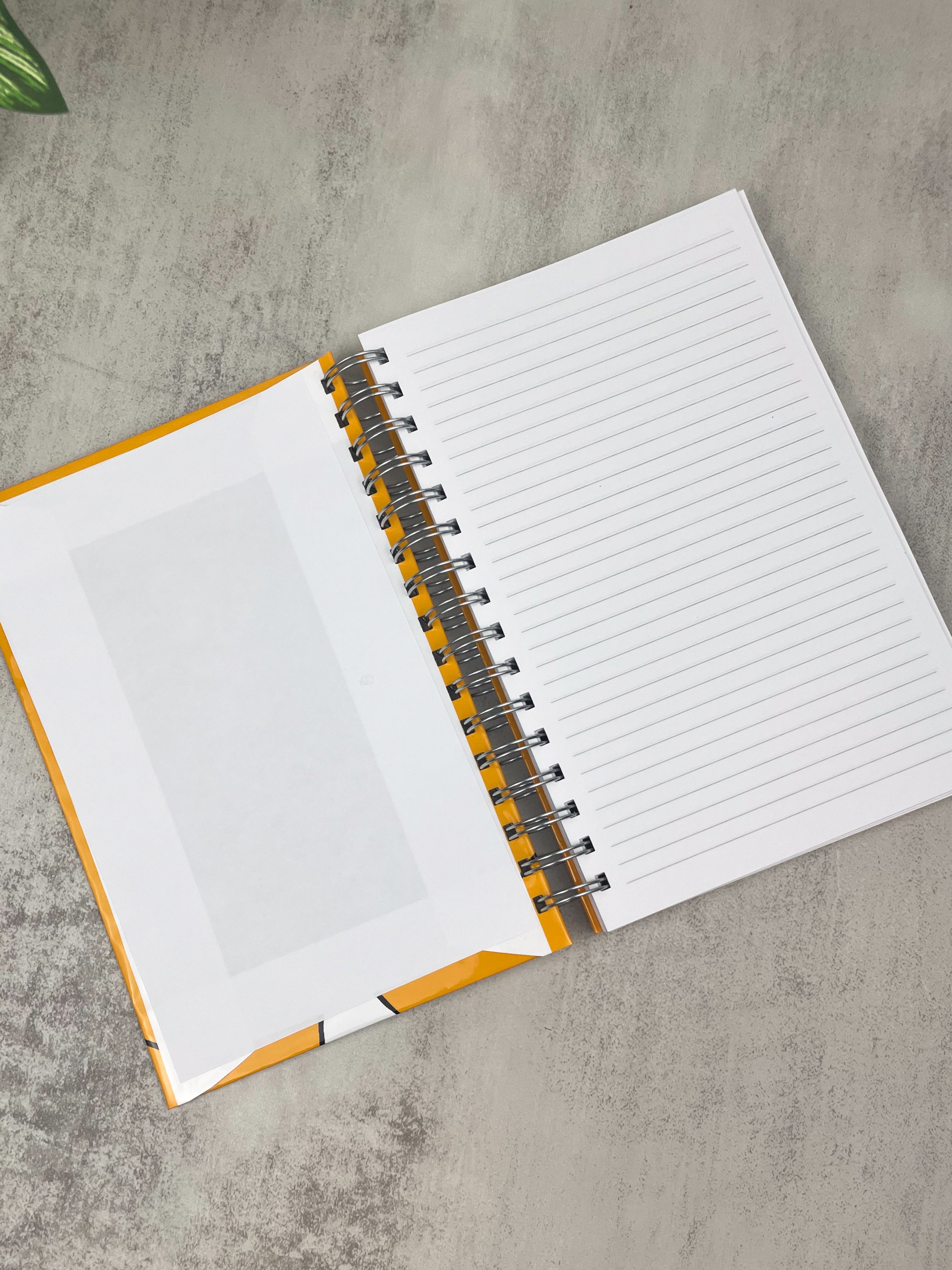 Never Apologize for Being Powerful | Journal | Sketchbook